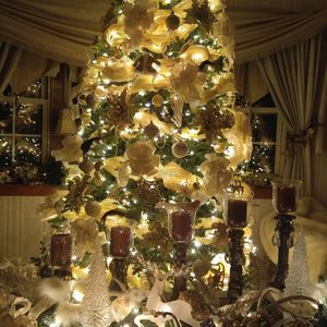 Meet your Posher, Bonnie